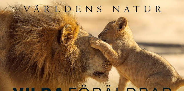 Världens natur: Vilda föräldrar