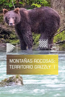 04:50: Montañas rocosas, territorio grizzly 1 | Caza y Pesca | 2/8 2026