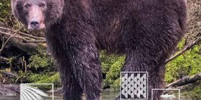 06:27: Montañas rocosas, territorio grizzly 1 | Caza y Pesca | 2/12 2026