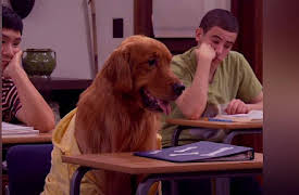 Mr. Young: Mr. Dog