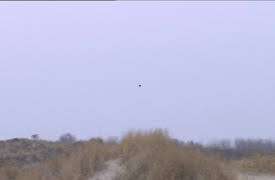 Bonderøven: Episode 8