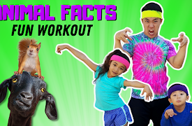 BOBO PE: Fitness & Facts - Animals