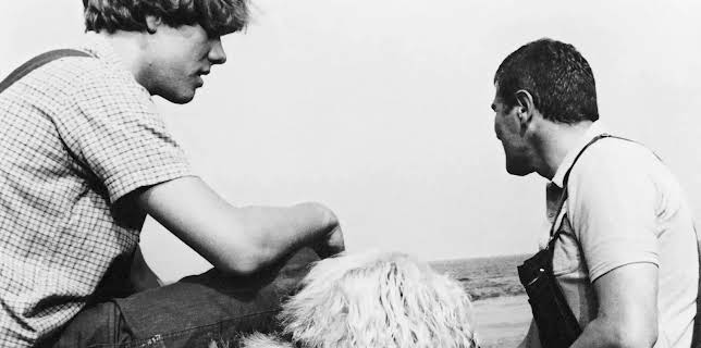 00:25: Kümo Henriette (24/28) | NDR Fernsehen | 11/28 2025