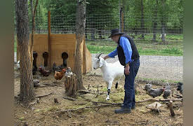 Dr. Dee Alaska Vet Season 1: Don't Mess With Mama