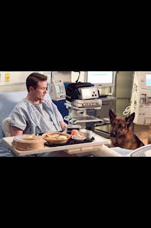 10:56: Hudson y Rex (T2): Ep.13 Llamarada canina | AXN | 10/3 2026