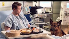 Hudson y Rex (T2): Ep.13 Llamarada canina