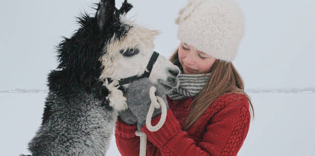 A Shade of Grey (2025)