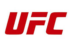 UFC 110: Nogueira vs Velasquez (T2010): Wanderlei Silva vs Michael Bisping