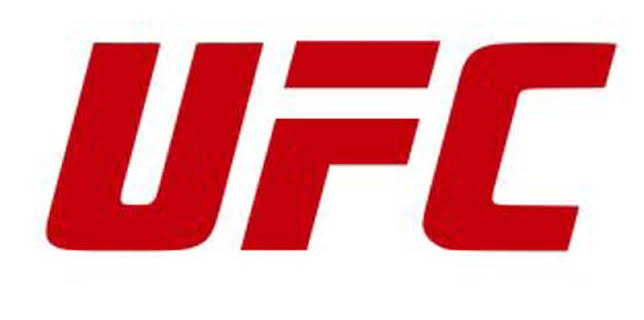 UFC 110: Nogueira vs Velasquez (T2010): Wanderlei Silva vs Michael Bisping