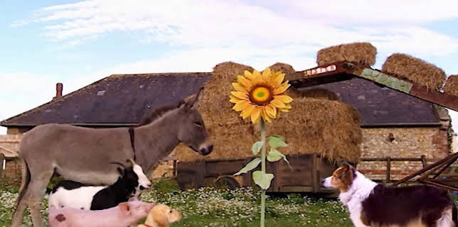 4:10 PM: Treubh an Tuathanais (Big Barn Farm) (S2) | BBC Alba | 11/29 2025