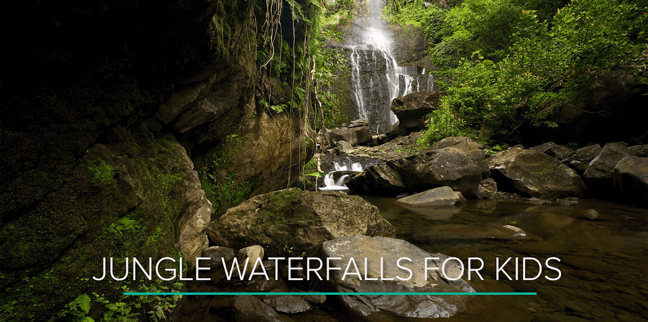 Jungle Waterfalls for Kids