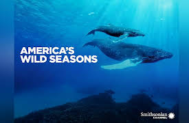 America's Wild Seasons: Spring