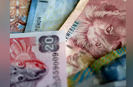 Understanding Investments: Investing in Foreign Assets