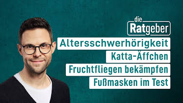 16:30: Die Ratgeber | HR Fernsehen | 8/9 2026