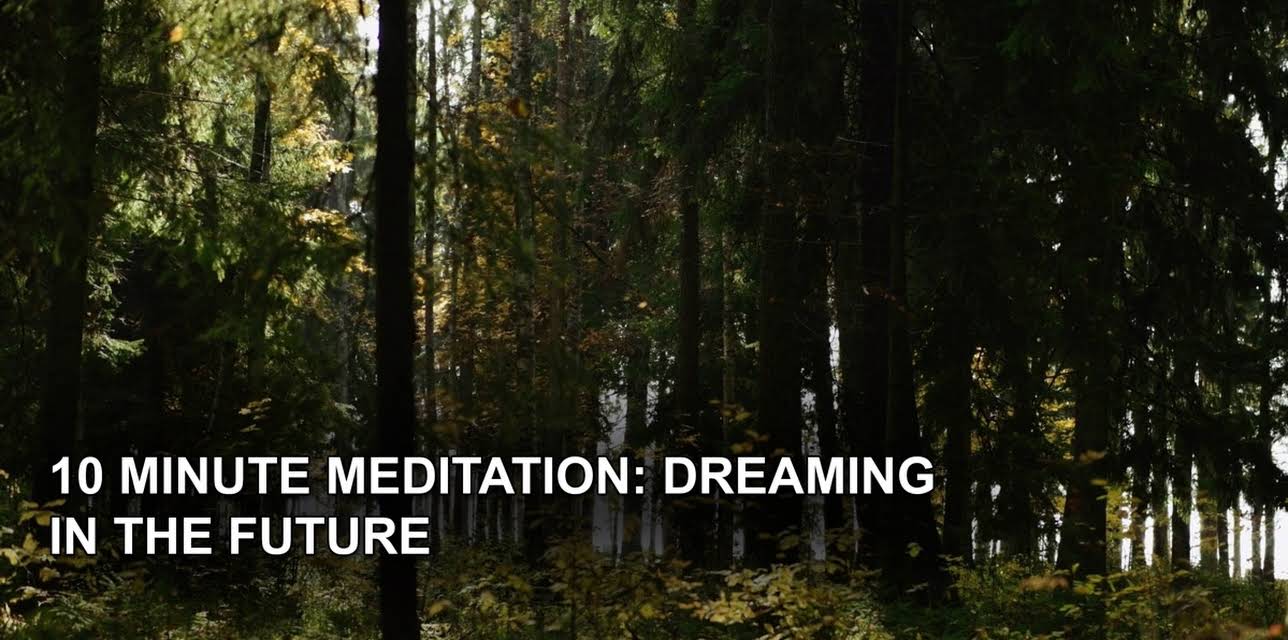 10 Minute Meditation: Dreaming in the Future (2023)