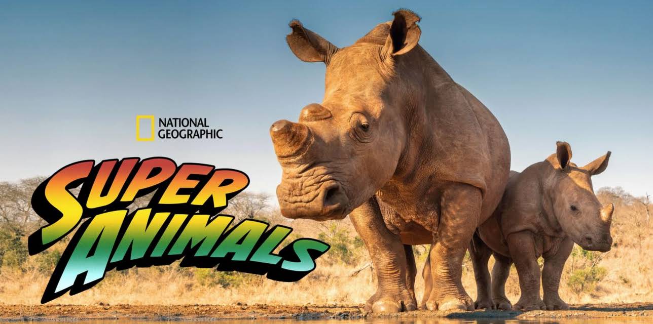 Super Animals