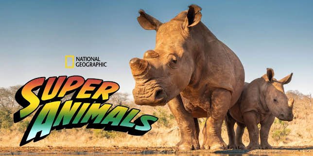 Super Animals