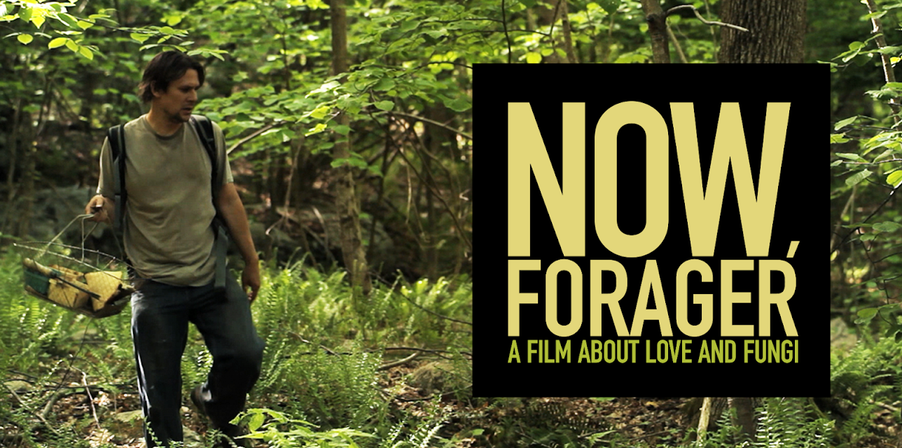 Now, Forager (2013)