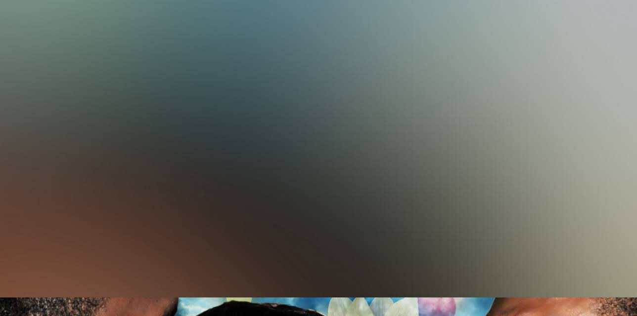 The Single Wife (2015)