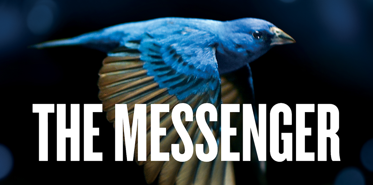 The Messenger [English] (2015)