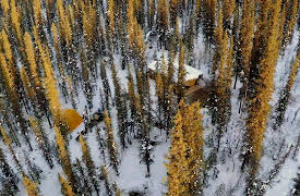 The Last Alaskans Season 1: The End of Darkness