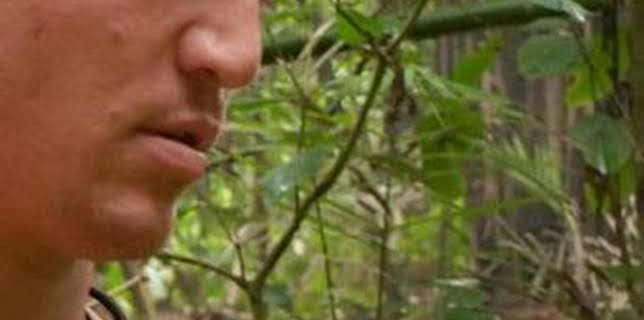 09:43: Aventura en pelotas: La cornisa de la muerte | Discovery Max | 12/12 2025