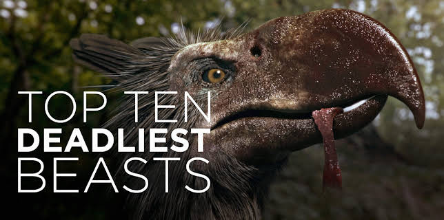 Top Ten Deadliest Beasts (2018)