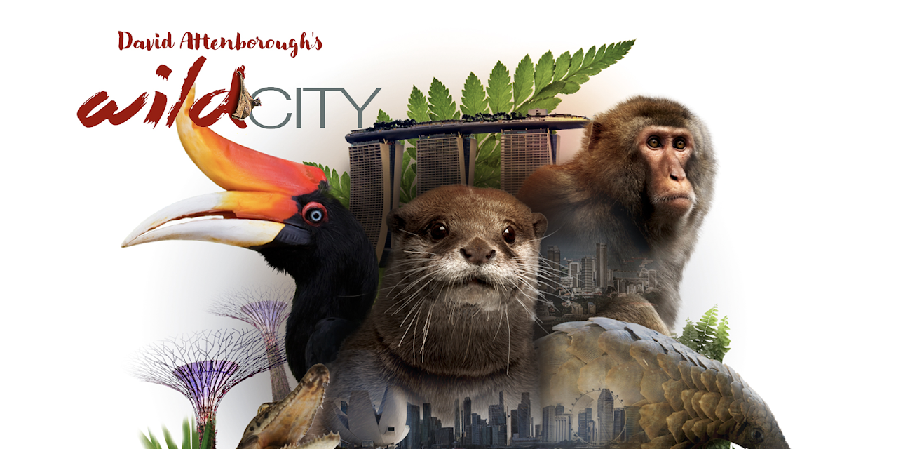 David Attenborough's Wild City