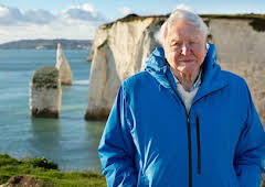 Ocean With David Attenborough