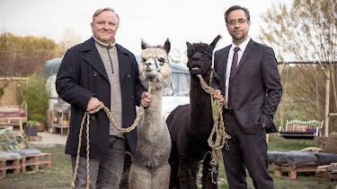 19:15: Tatort: Rhythm and Love | MDR Fernsehen | 3/30 2026