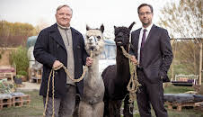 Tatort: Rhythm and Love