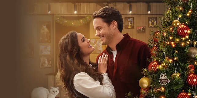 Christmas at the Catnip Café (2025)