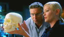 CSI: Den Tätern auf der Spur