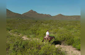 Rob Riggle: Global Investigator Season 1: The Mystery of the O.K. Corral