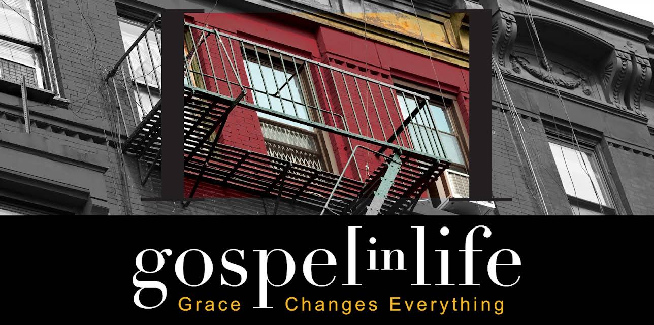 Gospel in Life Video Bible Study bundle
