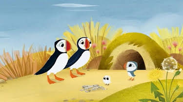 4:35 PM: Creag nam Buthaidean/Puffin Rock (S1) | BBC Alba | 6/14 2026