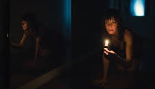 Animals - Stadt Land Tier