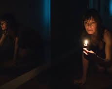 Animals - Stadt Land Tier