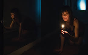 Animals - Stadt Land Tier