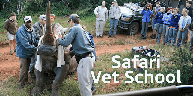 Safari Vet School