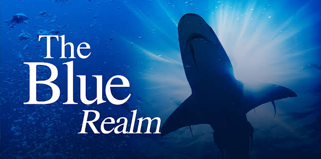 The Blue Realm Season 1