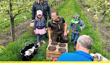 Die Nordreportage: Birnen erobern das Alte Land