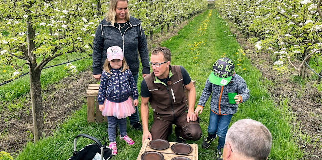 01:55: Die Nordreportage: Birnen erobern das Alte Land | 3SAT | 11/7 2025