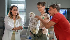 Tierärztin Dr. Mertens (92)