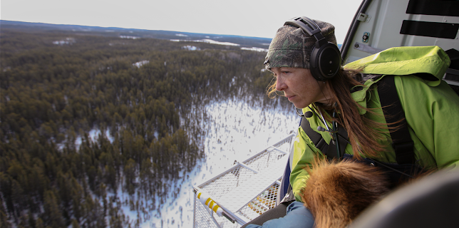 19:50: Dr. Oakley: Veterinären i Yukon (S8 E1) (S8) | National Geographic Wild | 2/25 2026