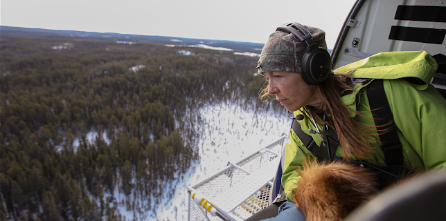 Dr. Oakley: Veterinären i Yukon