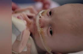 Life and Birth: Episode 5