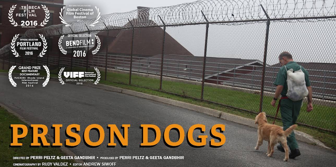 Prison Dogs (2009)