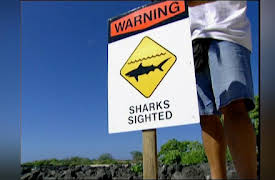 Shark Week: 20th Anniversary Collection: Shark Attack Rescuers