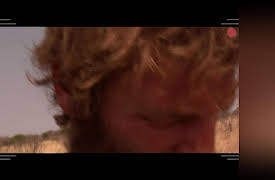 Into the Pride: Season 1: Homeward Bound